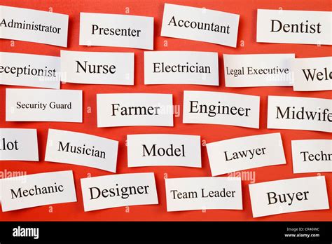 list of all career choices.